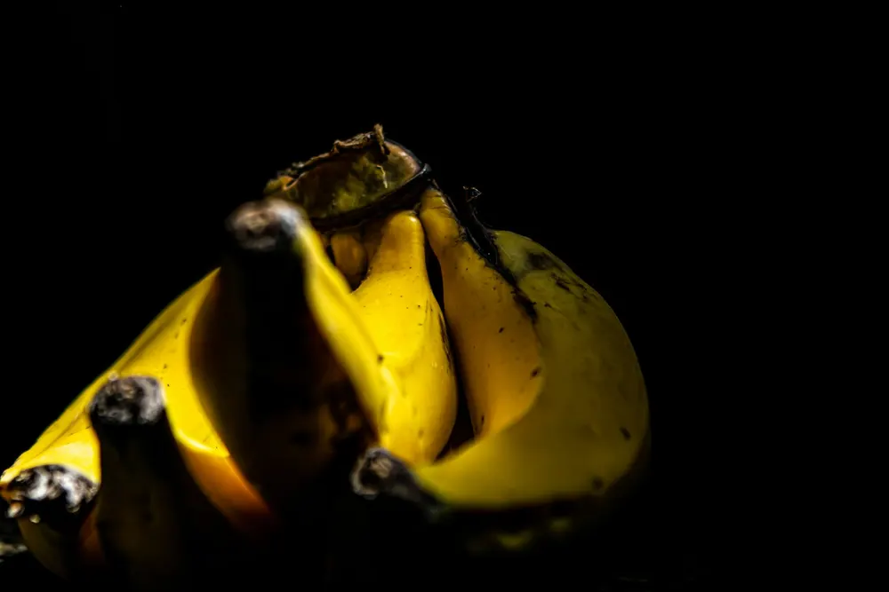 A bunch of ripe yellow bananas lit against a dark background